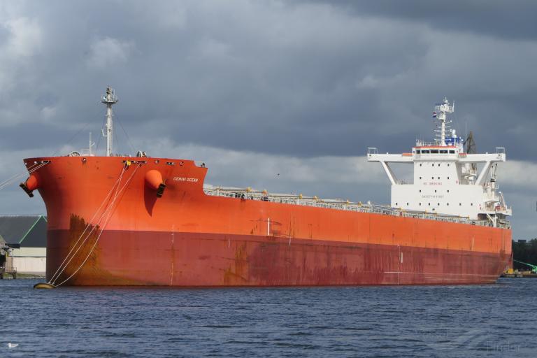 gemini ocean (Bulk Carrier) - IMO 9798832, MMSI 372213000, Call Sign H3DT under the flag of Panama