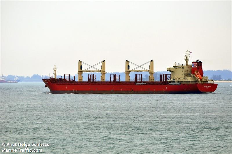 strategic savannah (Bulk Carrier) - IMO 9686338, MMSI 563001900, Call Sign 9V5259 under the flag of Singapore