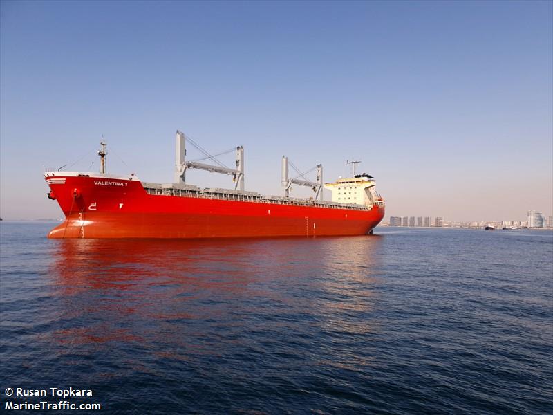 valentina 1 (Bulk Carrier) - IMO 9336830, MMSI 636019860, Call Sign D5WM6 under the flag of Liberia