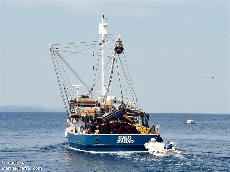 galo (Fishing vessel) - IMO , MMSI 238825840, Call Sign 9AA5854 under the flag of Croatia