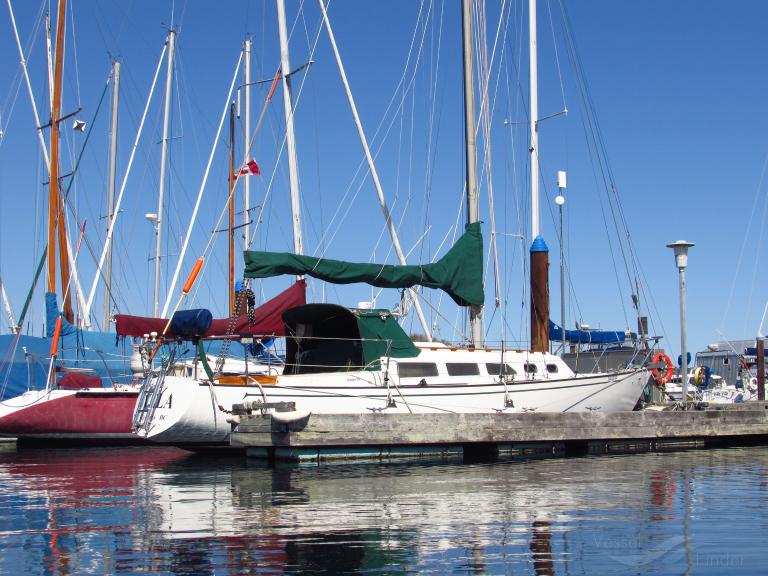 vela (Sailing vessel) - IMO , MMSI 316008585 under the flag of Canada