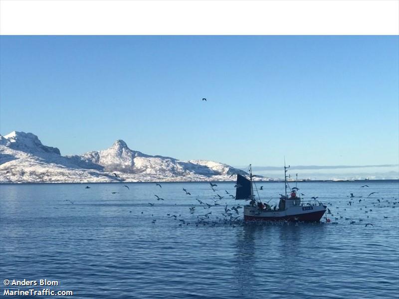 marit inga (Fishing vessel) - IMO , MMSI 257467600, Call Sign LM2231 under the flag of Norway