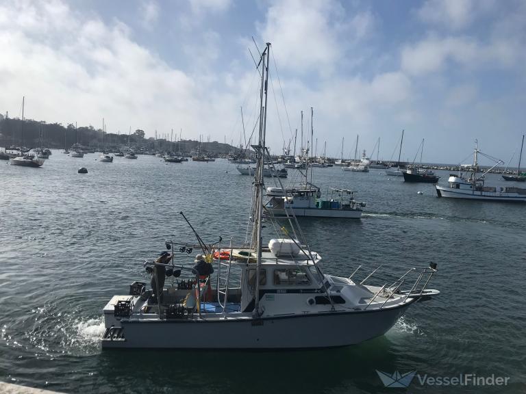 f v long gone (Fishing vessel) - IMO , MMSI 367311660, Call Sign WDD9451 under the flag of United States (USA)