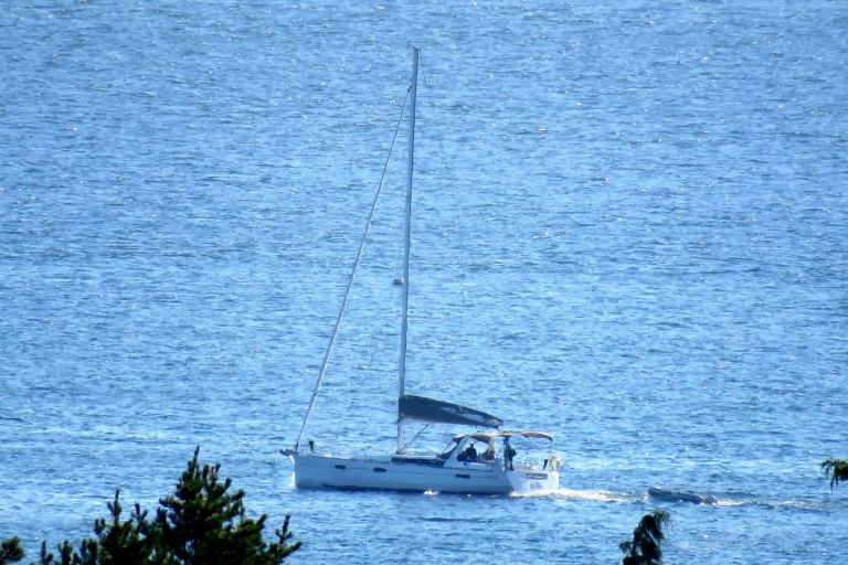 runaway (Sailing vessel) - IMO , MMSI 367583590, Call Sign WDG9031 under the flag of United States (USA)