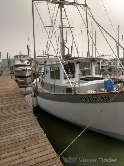 pelican (Fishing vessel) - IMO , MMSI 368014620, Call Sign WDJ8253 under the flag of United States (USA)