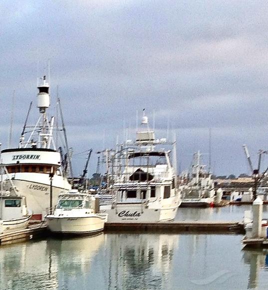 chula (Fishing vessel) - IMO , MMSI 367537480, Call Sign WDG4525 under the flag of United States (USA)