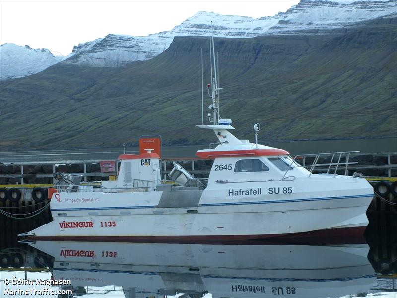 bjorgvin (-) - IMO , MMSI 251170640, Call Sign 2645 under the flag of Iceland