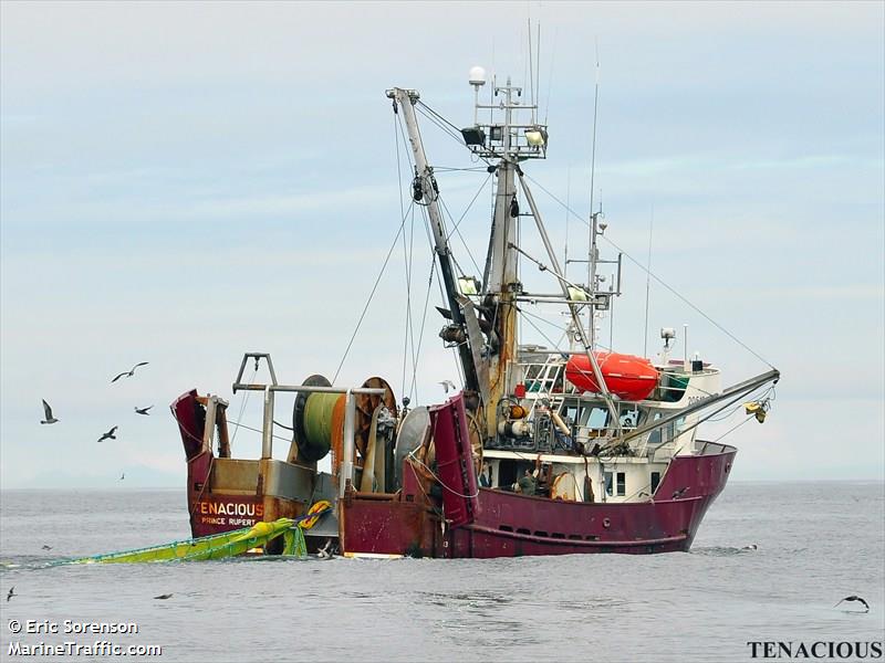 fv tenacious (Fishing vessel) - IMO , MMSI 316020762, Call Sign VY5358 under the flag of Canada