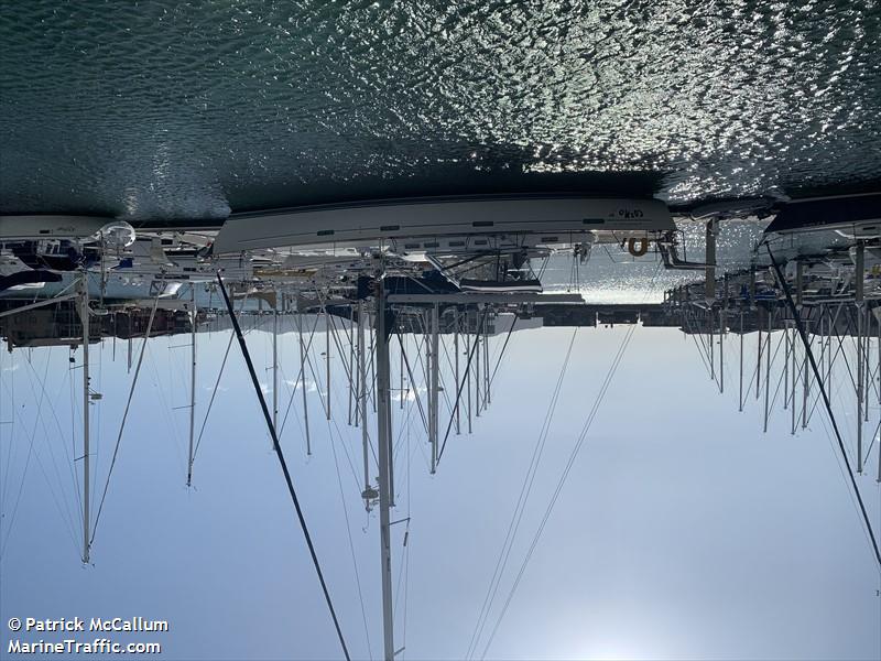 cosmo (Sailing vessel) - IMO , MMSI 338229616 under the flag of USA