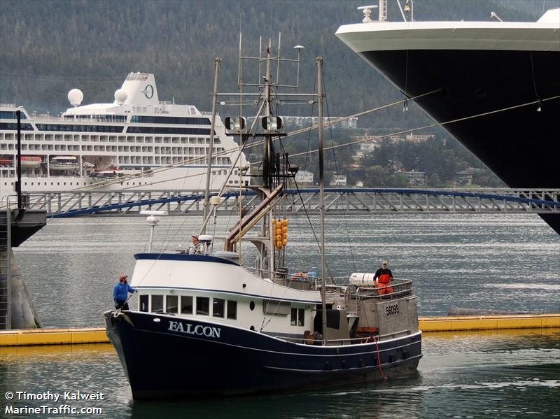 fv falcon (Fishing vessel) - IMO , MMSI 366942630, Call Sign WUR7304 under the flag of United States (USA)
