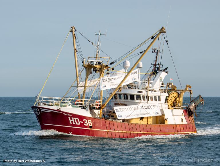 hd36 volharding (Fishing Vessel) - IMO 9021722, MMSI 245813000, Call Sign PHBS under the flag of Netherlands