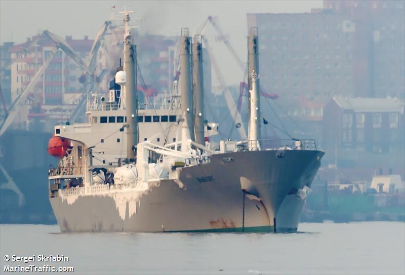 vyborg (Refrigerated Cargo Ship) - IMO 9172698, MMSI 273398640, Call Sign UBWP8 under the flag of Russia