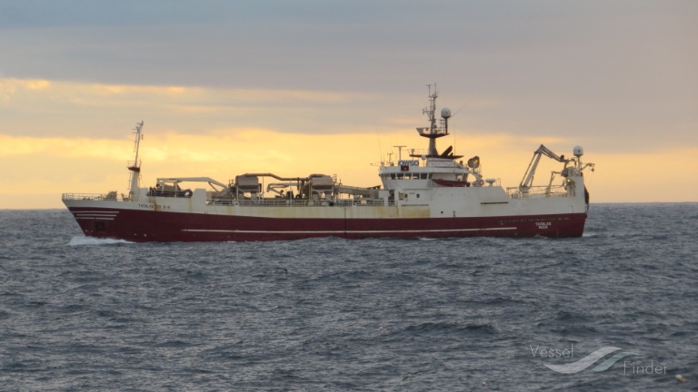 ernir (Fish Factory Ship) - IMO 8604010, MMSI 312310000, Call Sign V3EZ2 under the flag of Belize