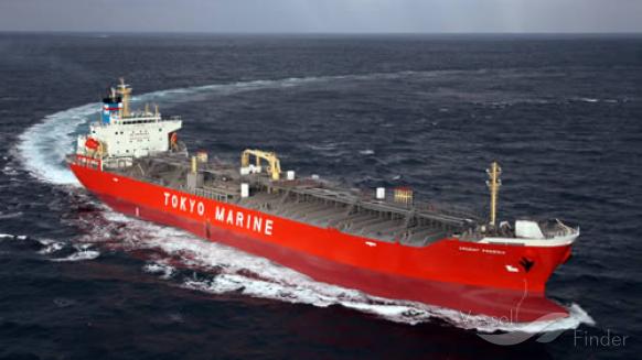 elenore (Chemical/Oil Products Tanker) - IMO 9335836, MMSI 353616000, Call Sign 3FJQ8 under the flag of Panama