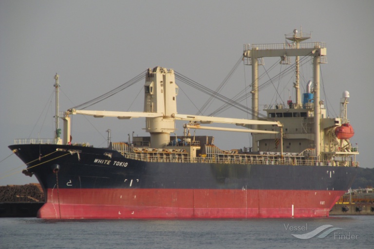 white tokio (General Cargo Ship) - IMO 9445241, MMSI 370029000, Call Sign 3ERF4 under the flag of Panama