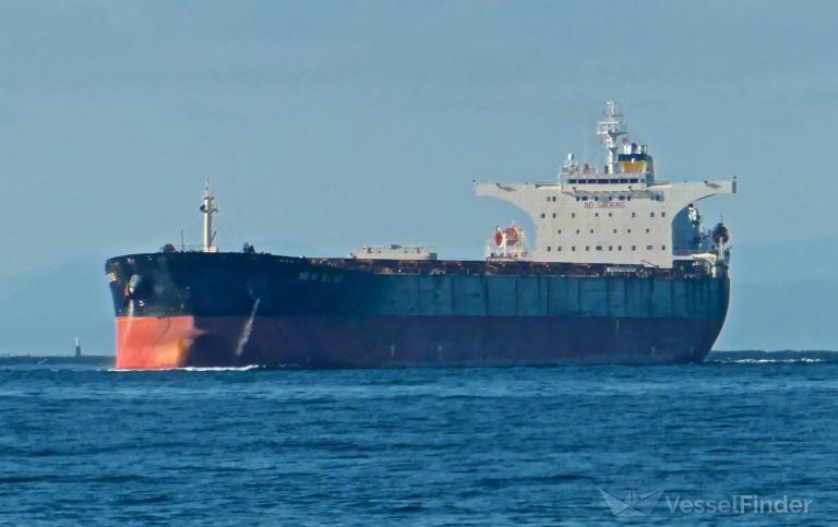 new elias (Bulk Carrier) - IMO 9313400, MMSI 372713000, Call Sign 3EKF9 under the flag of Panama