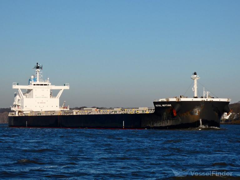 royal neptune (Bulk Carrier) - IMO 9851517, MMSI 372750000, Call Sign 3FDB under the flag of Panama