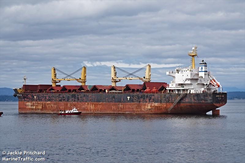 annika n (Bulk Carrier) - IMO 9514054, MMSI 538008791, Call Sign V7A2762 under the flag of Marshall Islands