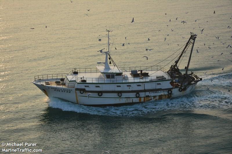 n.primula rossa (Fishing vessel) - IMO , MMSI 247144120, Call Sign IPQO under the flag of Italy