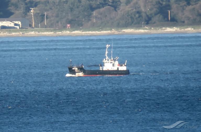 arctic tern (Anti-polution) - IMO , MMSI 367147710, Call Sign WDD4660 under the flag of United States (USA)