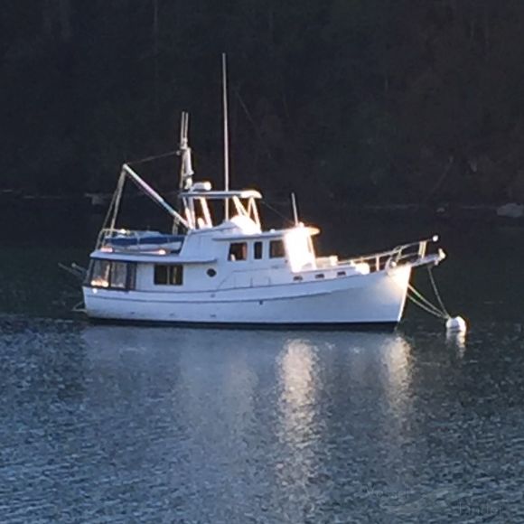 cadence (Pleasure craft) - IMO , MMSI 368028010, Call Sign WDJ9644 under the flag of United States (USA)