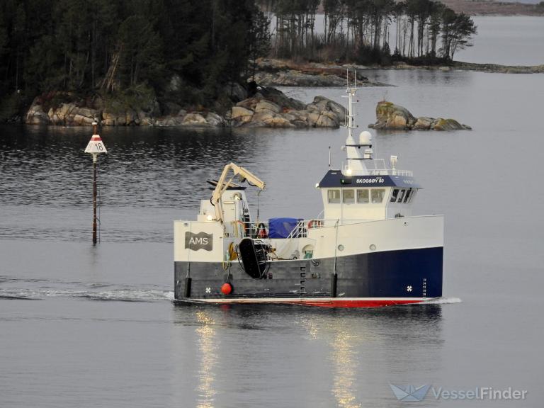 froysjo (-) - IMO , MMSI 257493800, Call Sign LG6131 under the flag of Norway