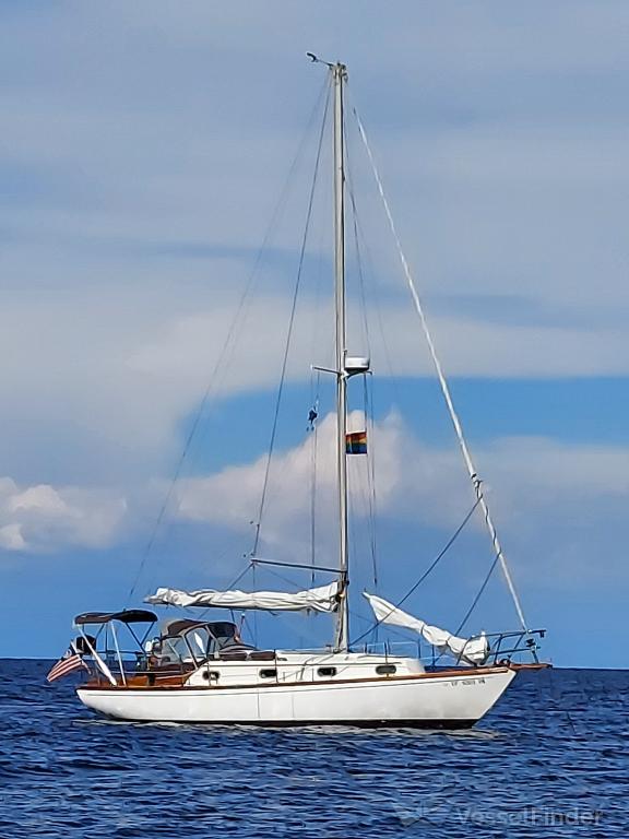warlock (Sailing vessel) - IMO , MMSI 338228037 under the flag of USA