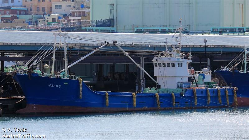 no81daeyang (Unknown) - IMO , MMSI 440109040