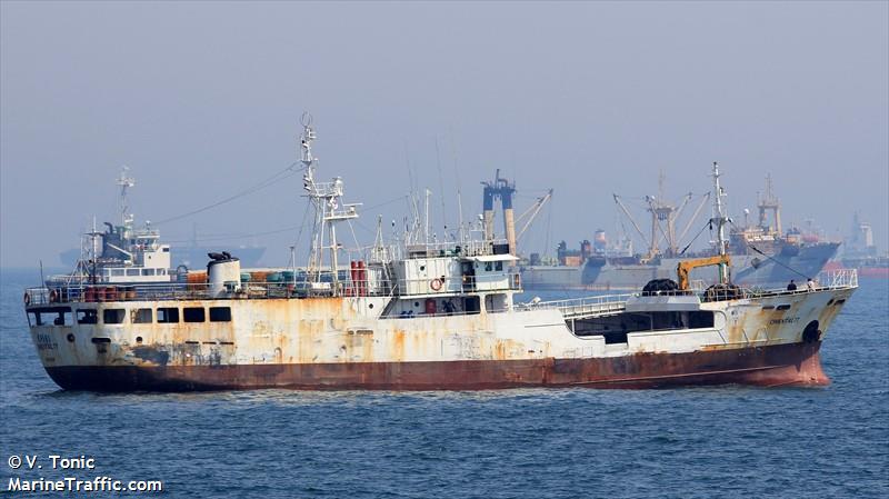 oriental77 (Fish Carrier) - IMO 8619338, MMSI 613003581 under the flag of Cameroon