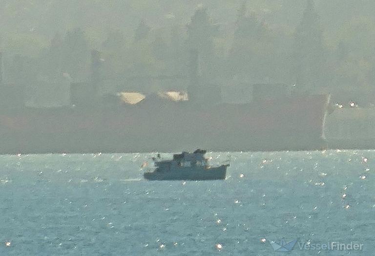 rumrunner (Pleasure craft) - IMO , MMSI 316023681 under the flag of Canada