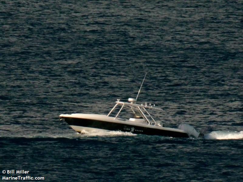 tt lionshare (Unknown) - IMO , MMSI 338132197 under the flag of USA