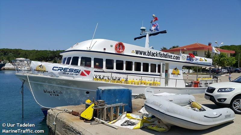 blackfish byem (Pleasure craft) - IMO , MMSI 271042341, Call Sign YM2335 under the flag of Turkey