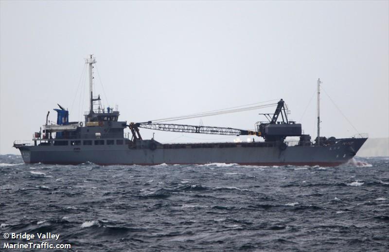 hikawa maru (Cargo ship) - IMO , MMSI 431300471, Call Sign JI3133 under the flag of Japan