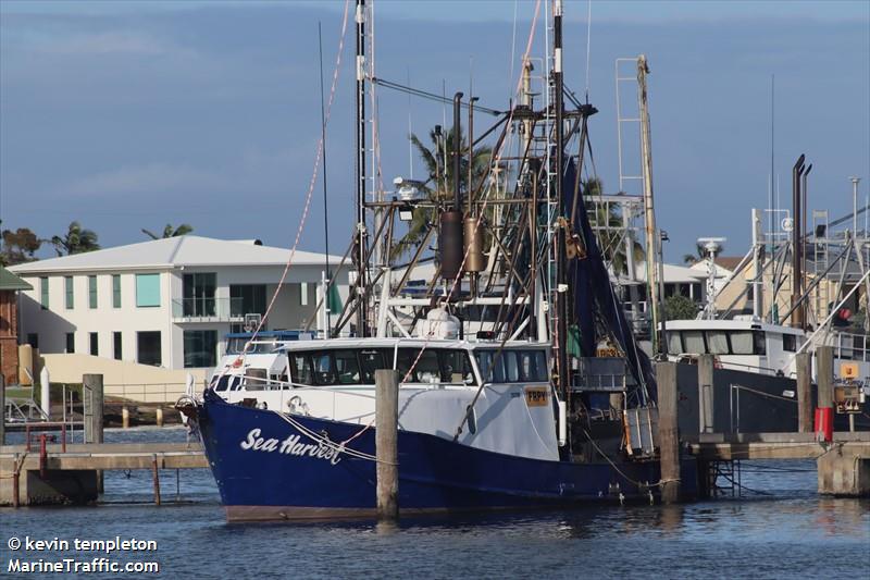 sea harvest (Fishing vessel) - IMO , MMSI 503041340, Call Sign VNZ2177 under the flag of Australia