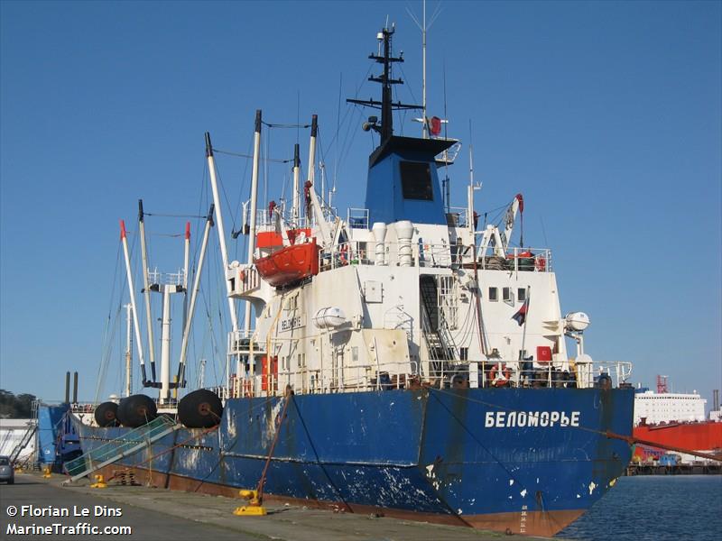 belomorye (Refrigerated Cargo Ship) - IMO 7808334, MMSI 273148810, Call Sign UIVG under the flag of Russia