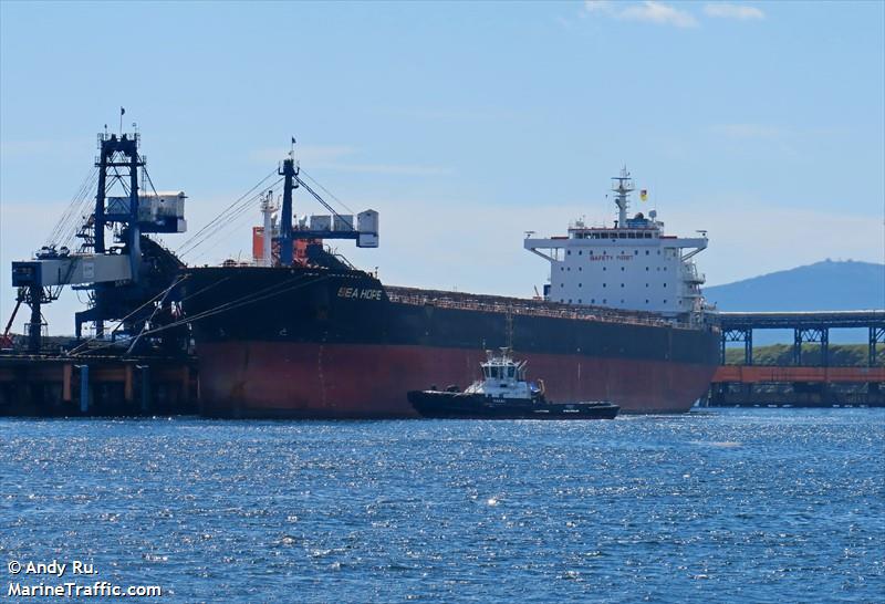 sea hope (Bulk Carrier) - IMO 9584748, MMSI 354830000, Call Sign 3FYZ9 under the flag of Panama