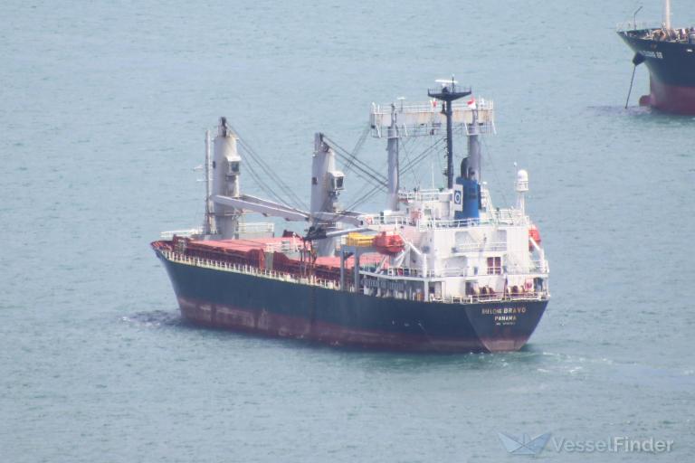 hai long bravo (General Cargo Ship) - IMO 9312353, MMSI 356717000, Call Sign H8DH under the flag of Panama