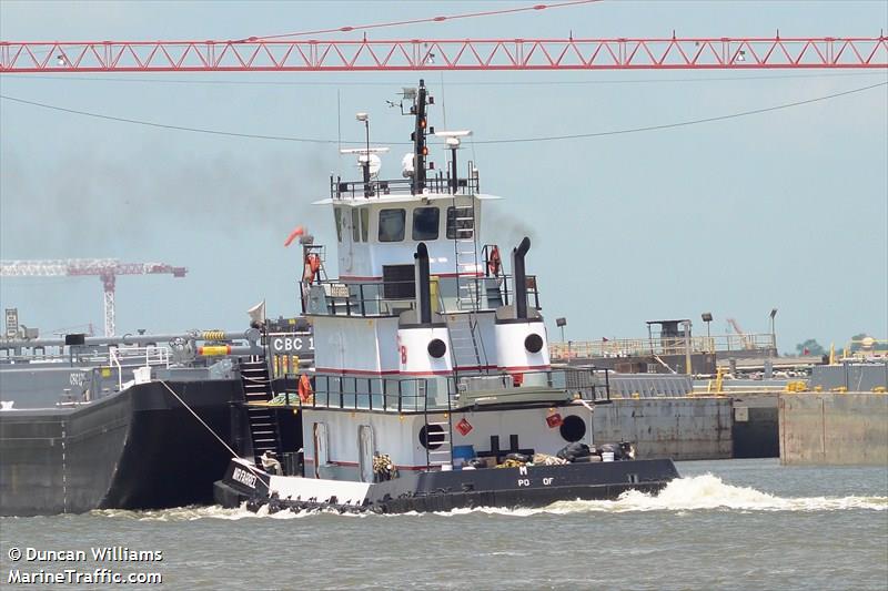 lady michelle (Tug) - IMO , MMSI 367426830, Call Sign WDK9111 under the flag of United States (USA)