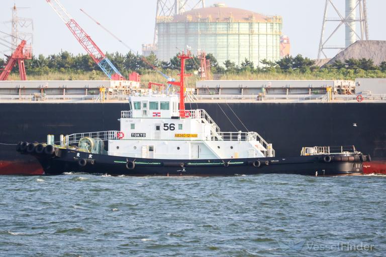 tokyo (Tug) - IMO , MMSI 431014202, Call Sign JD4663 under the flag of Japan