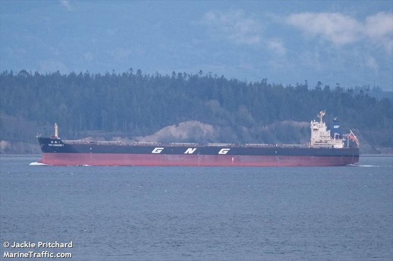 gng concord 1 (Bulk Carrier) - IMO 9629653, MMSI 477813200, Call Sign VRJZ8 under the flag of Hong Kong