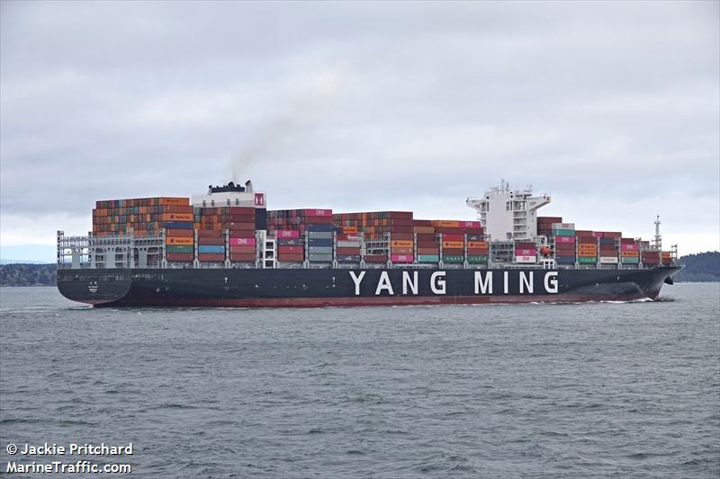 ym totality (Container Ship) - IMO 9860922, MMSI 636019984, Call Sign D5XC5 under the flag of Liberia