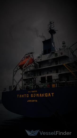 mv.tanto semangat ch (Container Ship) - IMO 9168570, MMSI 525013024, Call Sign P O S Y under the flag of Indonesia