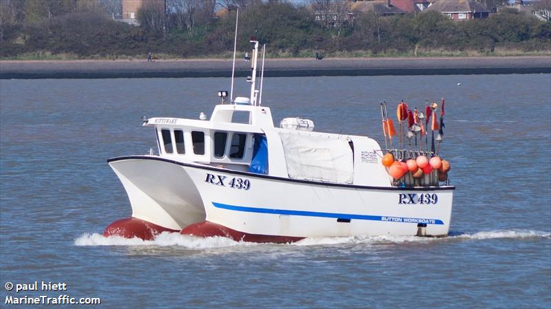 kittiwake rx439 (Fishing vessel) - IMO , MMSI 235069725, Call Sign 2BVR2 under the flag of United Kingdom (UK)
