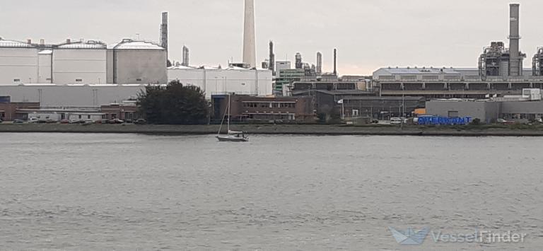 choller (Sailing vessel) - IMO , MMSI 244790092, Call Sign PB9515 under the flag of Netherlands