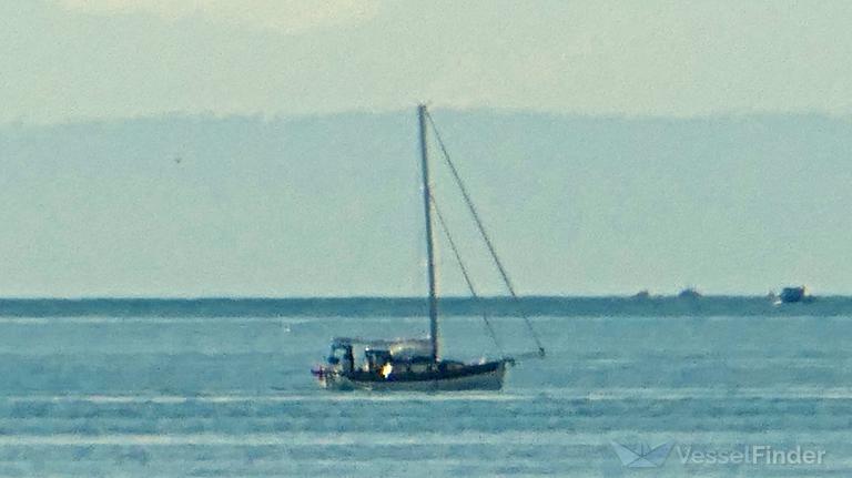 larkspur (Sailing vessel) - IMO , MMSI 316039703 under the flag of Canada