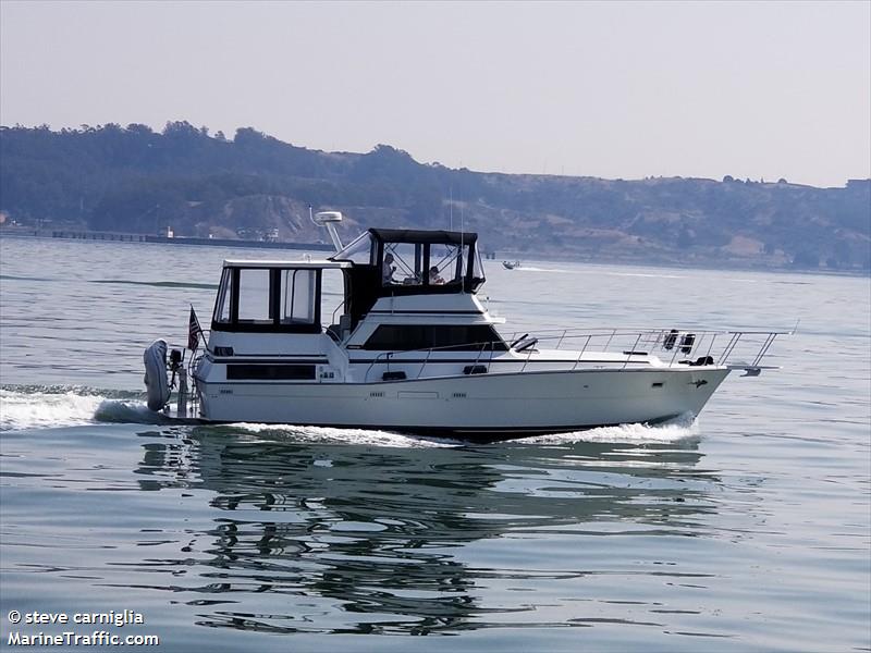 carol ann (Pleasure craft) - IMO , MMSI 338353279 under the flag of USA