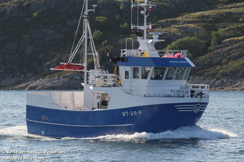 havblomst (Fishing vessel) - IMO , MMSI 257603600, Call Sign LG2977 under the flag of Norway