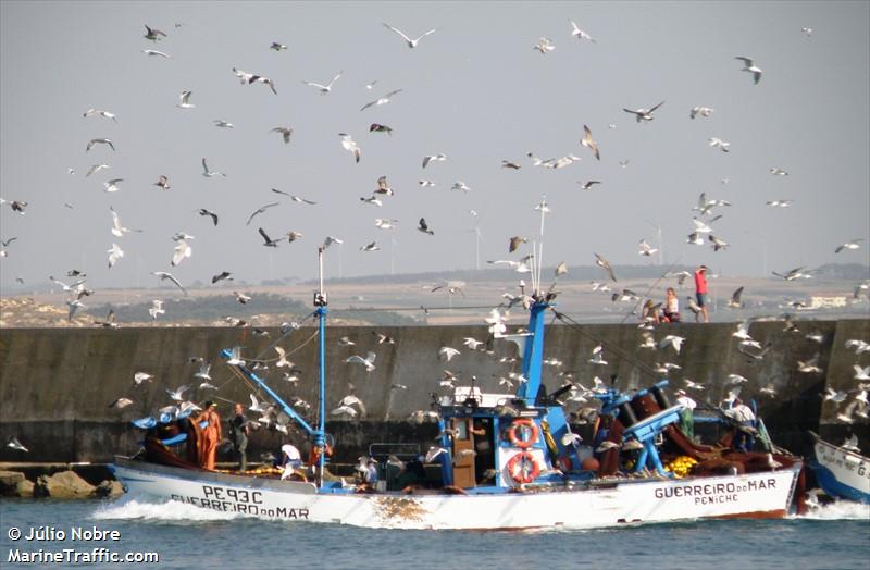 guerreiro do mar (Fishing vessel) - IMO , MMSI 263314000, Call Sign CUGH4 under the flag of Portugal