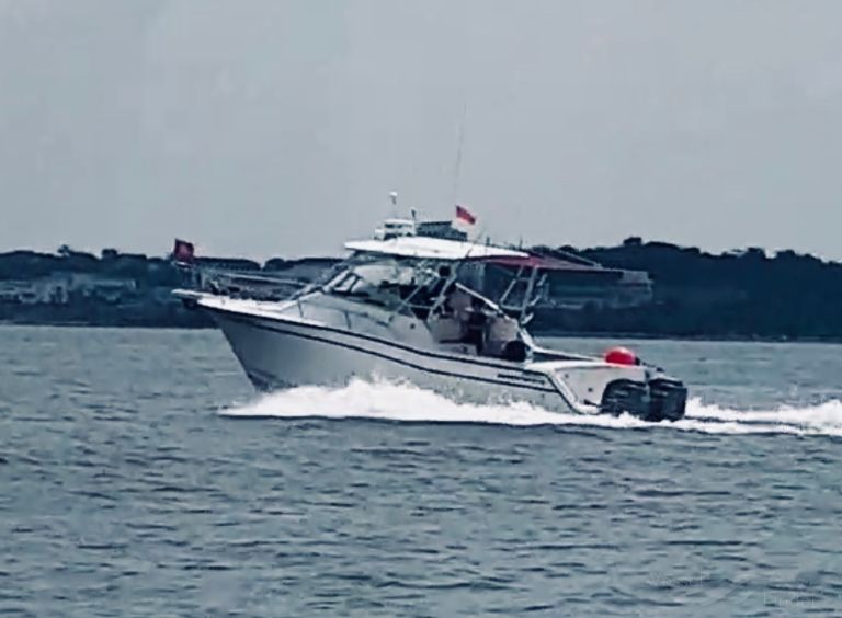 sz19070b (Pleasure craft) - IMO , MMSI 563046080 under the flag of Singapore