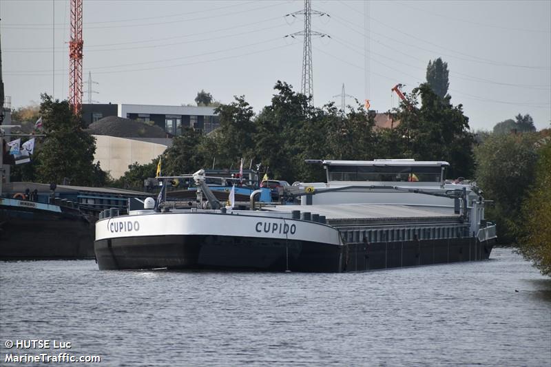 cupido (Cargo ship) - IMO , MMSI 205422290, Call Sign OT4222 under the flag of Belgium